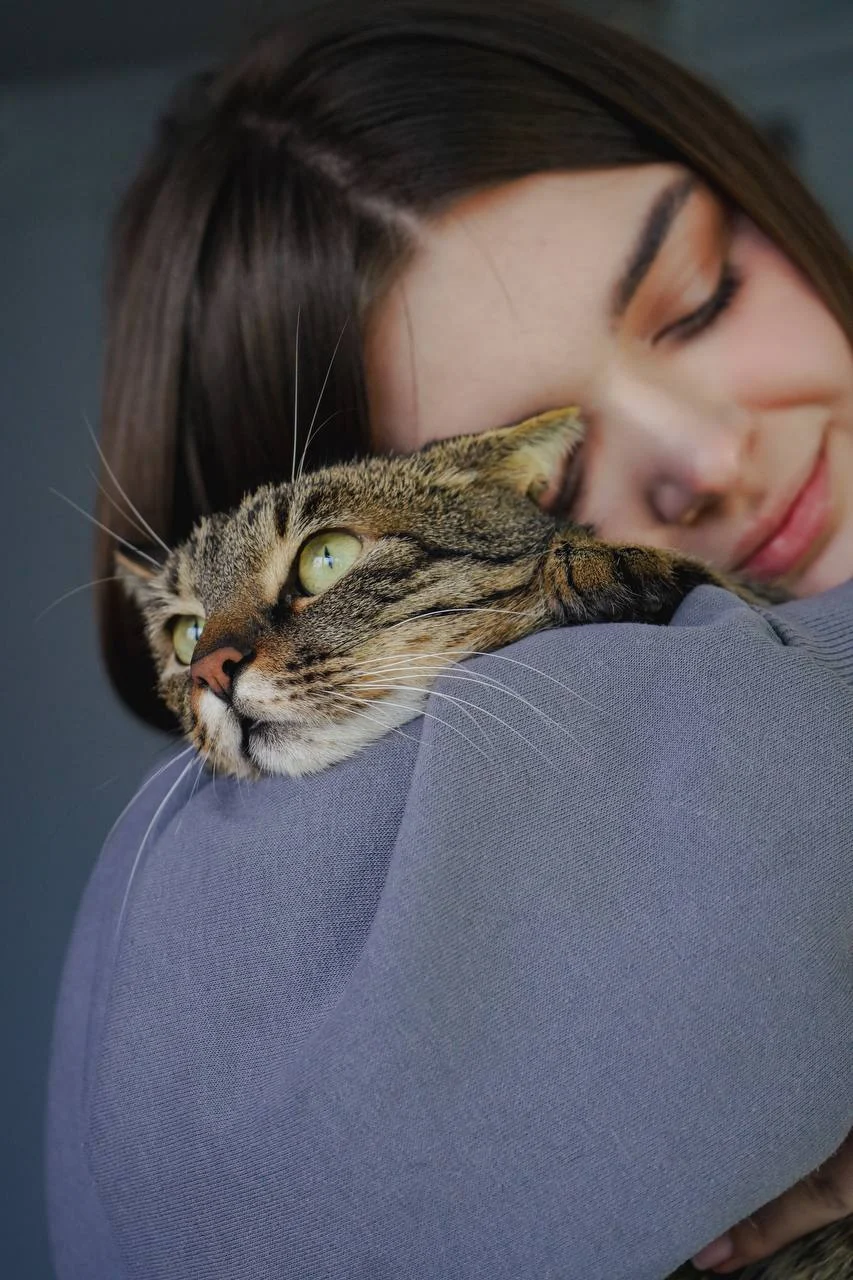 Choosing the Right Pet Sitter: What to Look For &raquo; PET CARE - DOG AND CAT