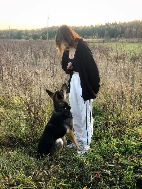Building a Stronger Bond with Your Pet: Activities to Deepen Your Connection &raquo; PET CARE - DOG AND CAT